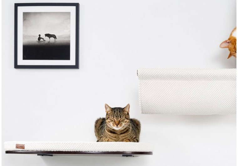 Comment nettoyer un arbre à chat ?